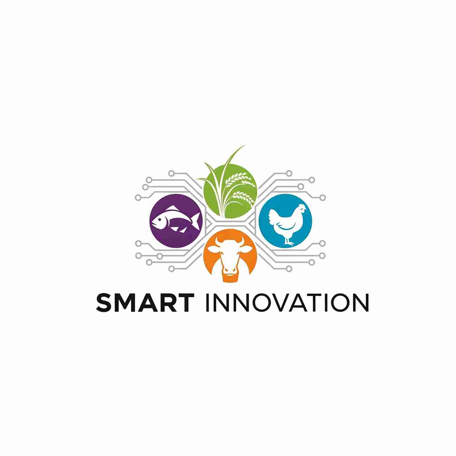 Smart Innovation
